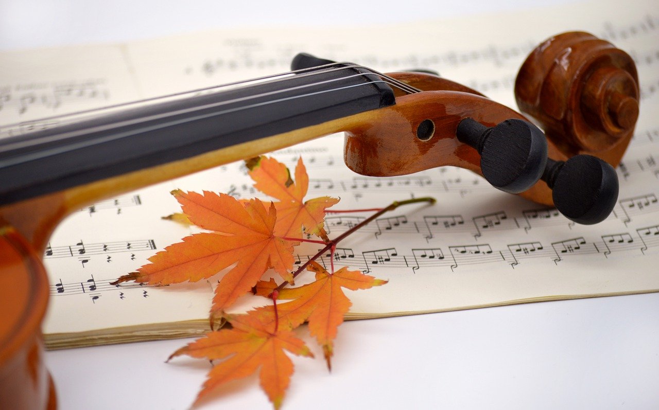 What skills do you need to be a music teacher? Photo credit: Frauke Riether, Pixabay
